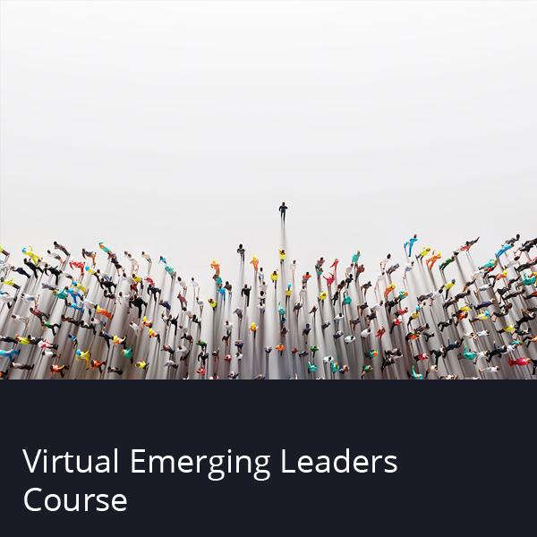 Emerging Leaders